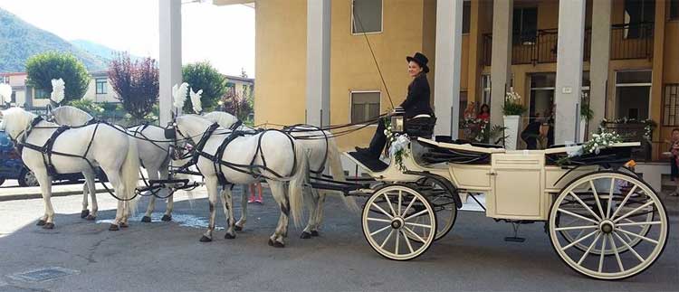 Spose in Carrozza - Carrozza matrimonio Salerno