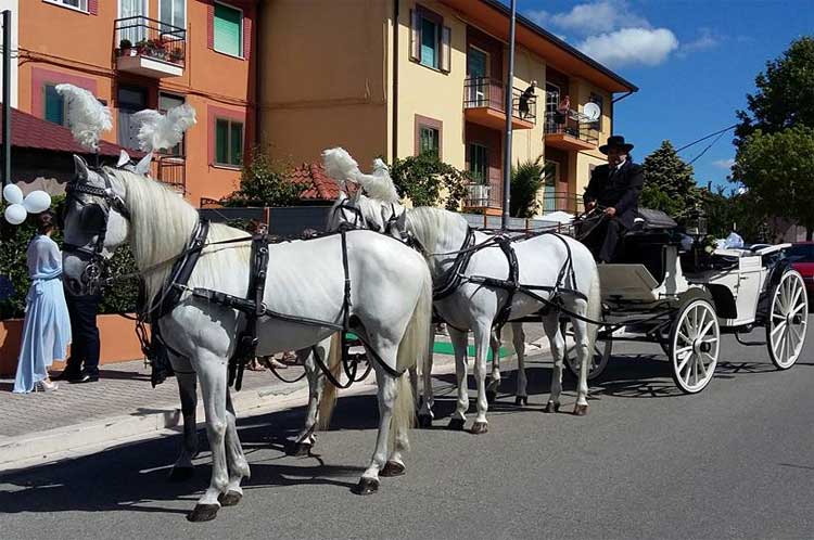 Spose in Carrozza - Carrozza matrimonio Salerno