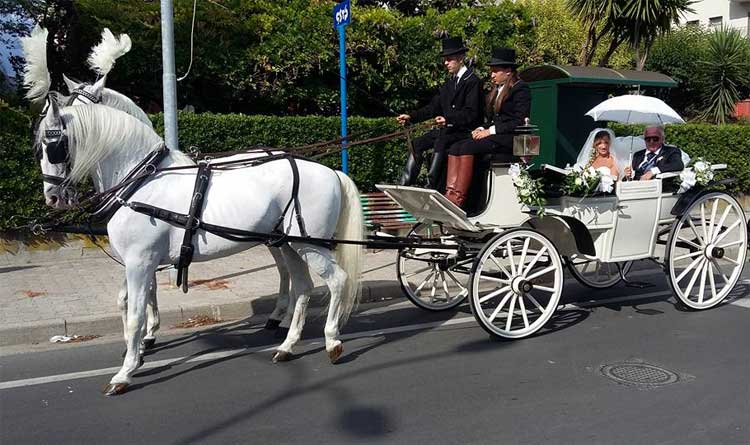 Spose in Carrozza - Carrozza matrimonio Salerno